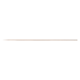 Iwata Ecl Needle Bcs/Bcr/Cr (I6171) (Aguja de fluido 0,5mm)