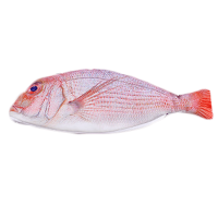 Estuche con forma - Naranja