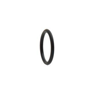 Iwata Packing -Head (O-Ring) -Ecl (I6051)