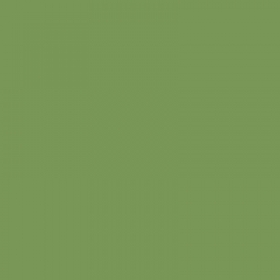 Royal Talens Ecoline 30ml - Verde Bronce (657)